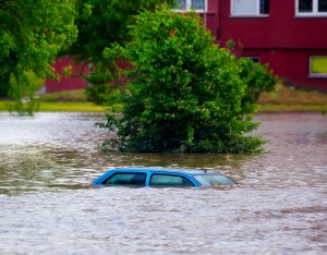 Flooding Clean Up